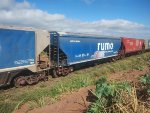RUMO HTT-351835-3